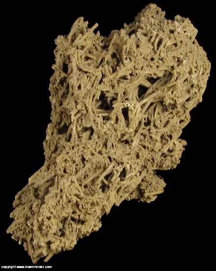 Mineral Specimen: Calcite variety: Tufa from Hot Springs, Fall River County, South Dakota, USA