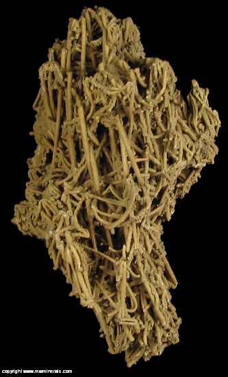 Mineral Specimen: Calcite variety: Tufa from Hot Springs, Fall River County, South Dakota, USA
