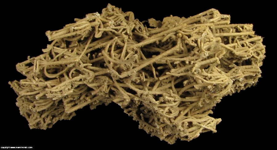 Mineral Specimen: Calcite variety: Tufa from Hot Springs, Fall River County, South Dakota, USA