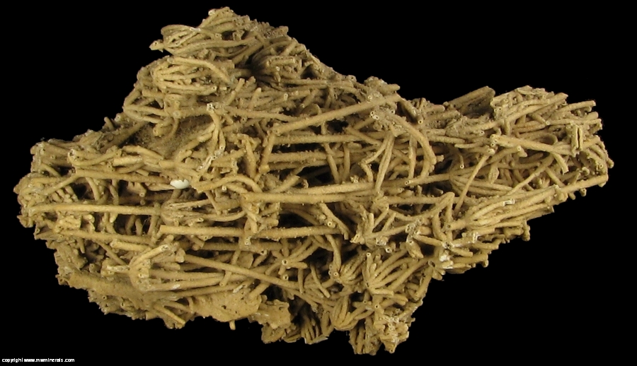 Mineral Specimen: Calcite variety: Tufa from Hot Springs, Fall River County, South Dakota, USA