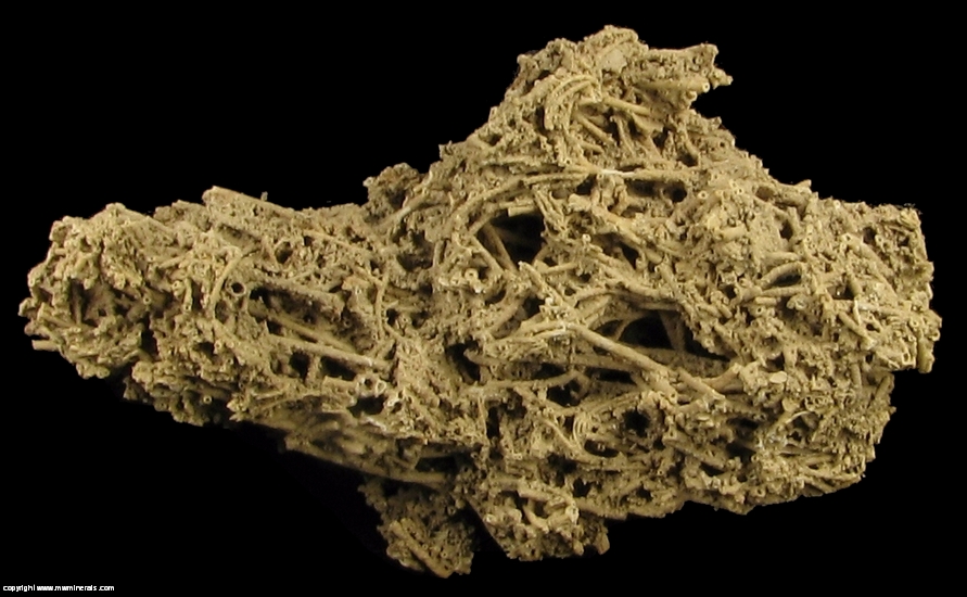 Mineral Specimen: Calcite variety: Tufa from Hot Springs, Fall River County, South Dakota, USA