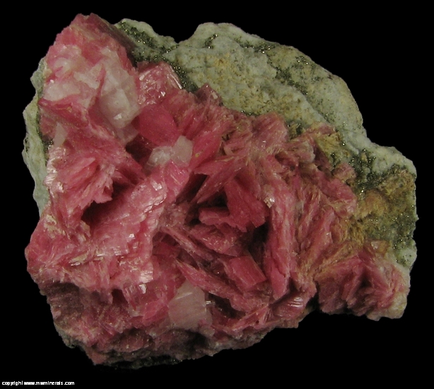 Mineral Specimen: Rhodonite from San Martin Mine, Chiurucu, Huallanca, Bolognesi Province, Ancash Department, Peru