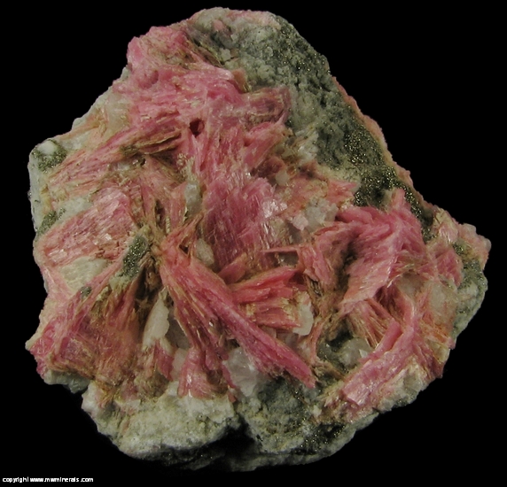 Mineral Specimen: Rhodonite from San Martin Mine, Chiurucu, Huallanca, Bolognesi Province, Ancash Department, Peru