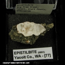 Minerals Specimen: Epistilbite from Big Tree Creek, Yacolt, Clark Co., Washington, USA Minerals Specimen: Epistilbite from Big Tree Creek, Yacolt, Clark Co., Washington, USA