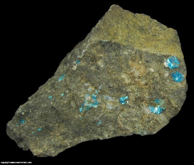 Mineral Specimen: Sampleite and Antlerite from Santa Catalina Mine, Caracoles, Sierra Gorda District, Antofagasta Province, Antofagasta Region, Chile