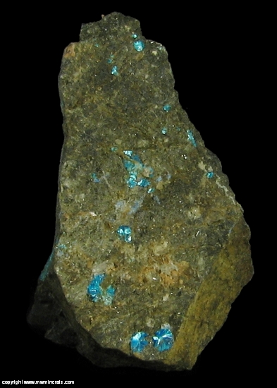 Mineral Specimen: Sampleite and Antlerite from Santa Catalina Mine, Caracoles, Sierra Gorda District, Antofagasta Province, Antofagasta Region, Chile