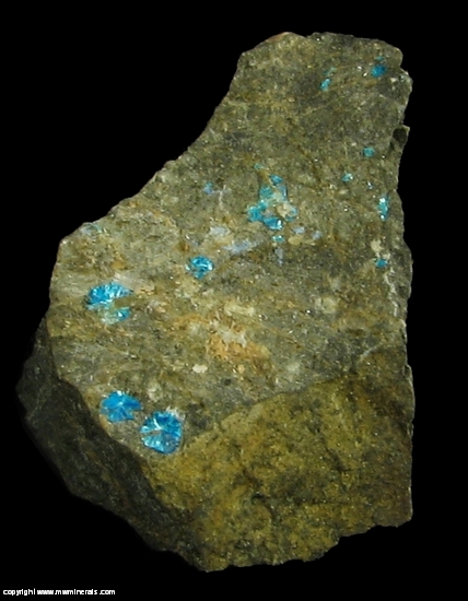 Mineral Specimen: Sampleite and Antlerite from Santa Catalina Mine, Caracoles, Sierra Gorda District, Antofagasta Province, Antofagasta Region, Chile