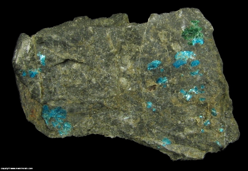 Mineral Specimen: Sampleite and Antlerite from Santa Catalina Mine, Caracoles, Sierra Gorda District, Antofagasta Province, Antofagasta Region, Chile