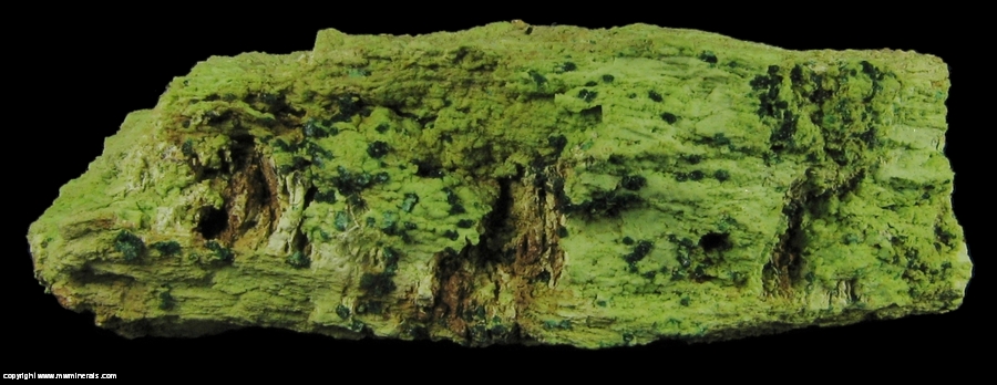 Mineral Specimen: Gillardite on Gaspeite from 132 North Mine, Widgiemooltha, Western Australia, Australia