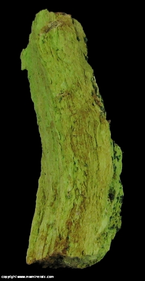 Mineral Specimen: Gillardite on Gaspeite from 132 North Mine, Widgiemooltha, Western Australia, Australia