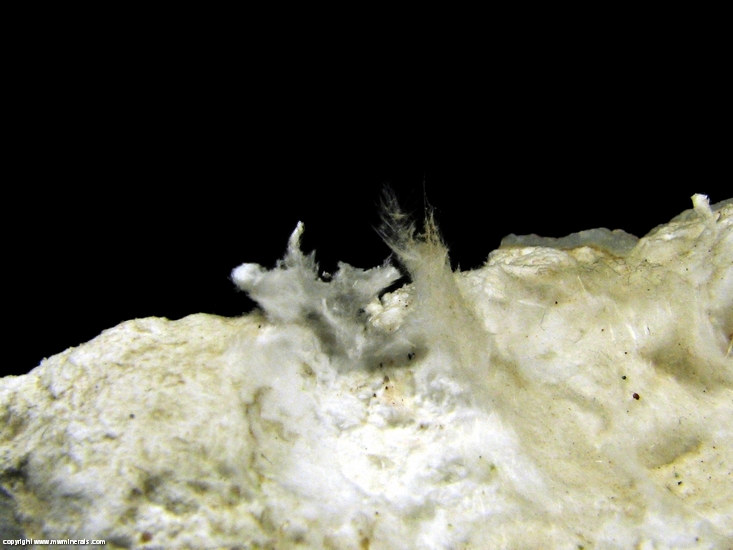 Mineral Specimen: Mordenite from Wolf Creek Pass, San Juan Mountains, Mineral Co., Colorado, USA