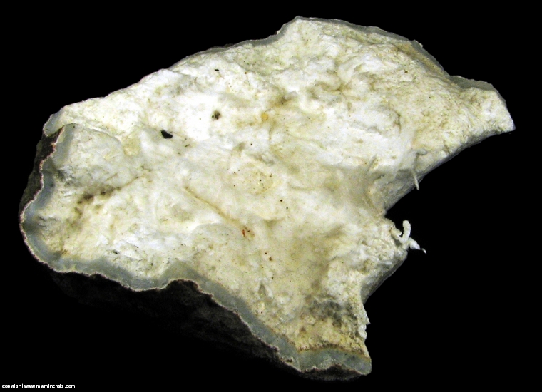 Mineral Specimen: Mordenite from Wolf Creek Pass, San Juan Mountains, Mineral Co., Colorado, USA