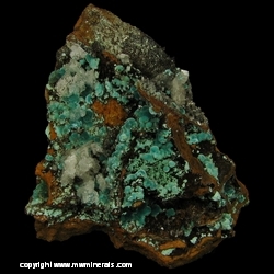 Minerals Specimen: Rosasite, Selenite from Minas Ojuela, Mapimi, Durango, Mexico
