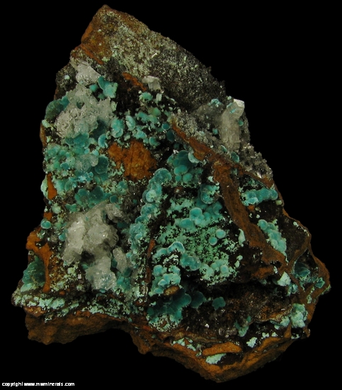 Mineral Specimen: Rosasite, Selenite from Minas Ojuela, Mapimi, Durango, Mexico