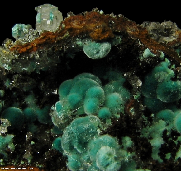 Mineral Specimen: Rosasite, Selenite from Minas Ojuela, Mapimi, Durango, Mexico