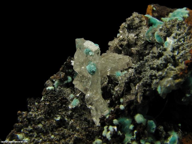 Mineral Specimen: Rosasite, Selenite from Minas Ojuela, Mapimi, Durango, Mexico