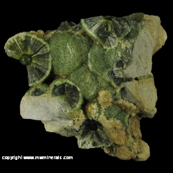 Minerals Specimen: Wavellite from Mauldin Mountain Quarries, Mauldin Mt., Montgomery Co., Arkansas, USA Minerals Specimen: Wavellite from Mauldin Mountain Quarries, Mauldin Mt., Montgomery Co., Arkansas, USA