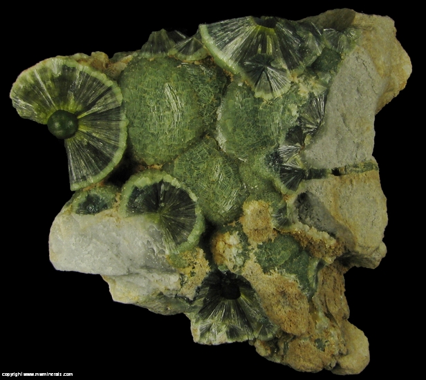 Mineral Specimen: Wavellite from Mauldin Mountain Quarries, Mauldin Mt., Montgomery Co., Arkansas, USA