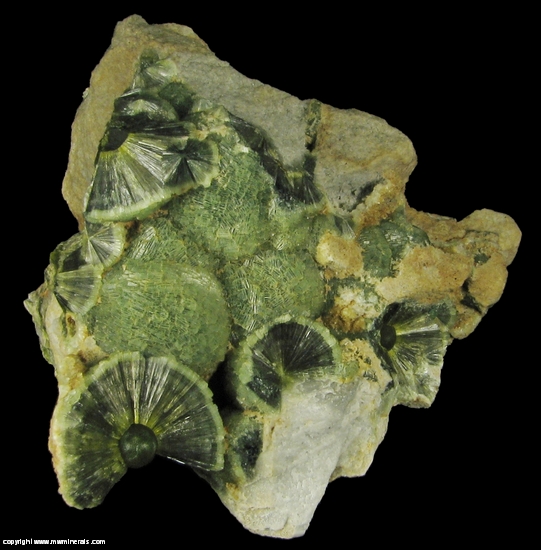 Mineral Specimen: Wavellite from Mauldin Mountain Quarries, Mauldin Mt., Montgomery Co., Arkansas, USA