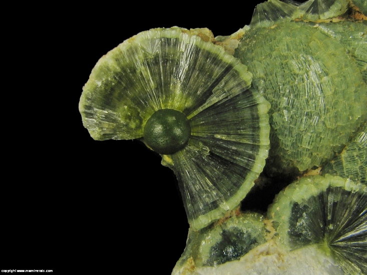 Mineral Specimen: Wavellite from Mauldin Mountain Quarries, Mauldin Mt., Montgomery Co., Arkansas, USA
