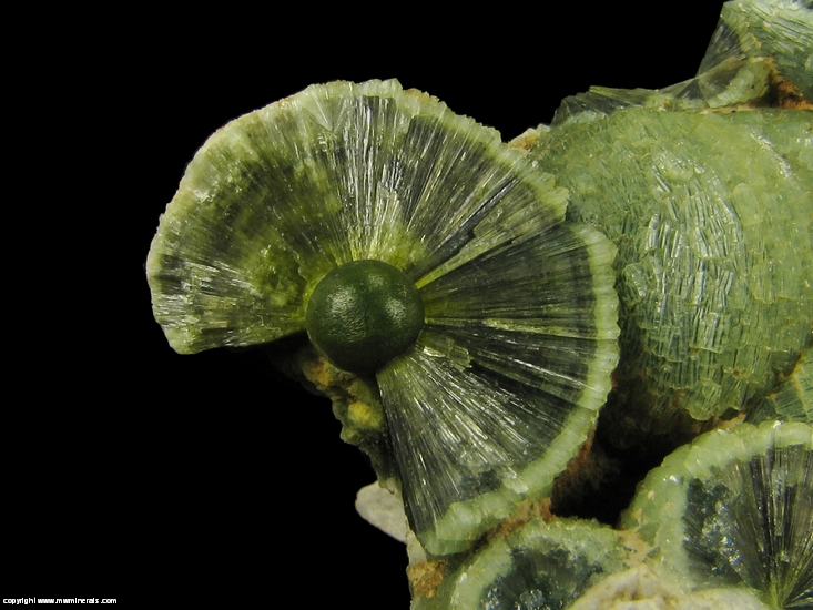 Mineral Specimen: Wavellite from Mauldin Mountain Quarries, Mauldin Mt., Montgomery Co., Arkansas, USA