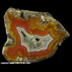 Minerals Specimen: Banded Agate from Chihuahua, Mexico Minerals Specimen: Banded Agate from Chihuahua, Mexico