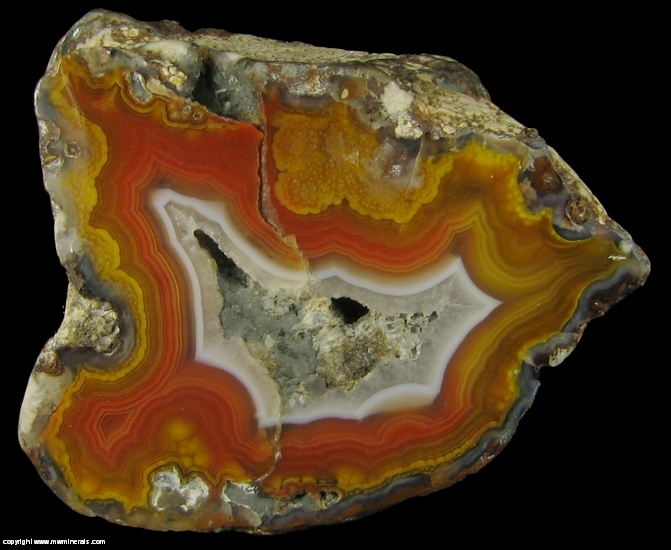 Mineral Specimen: Banded Agate from Chihuahua, Mexico