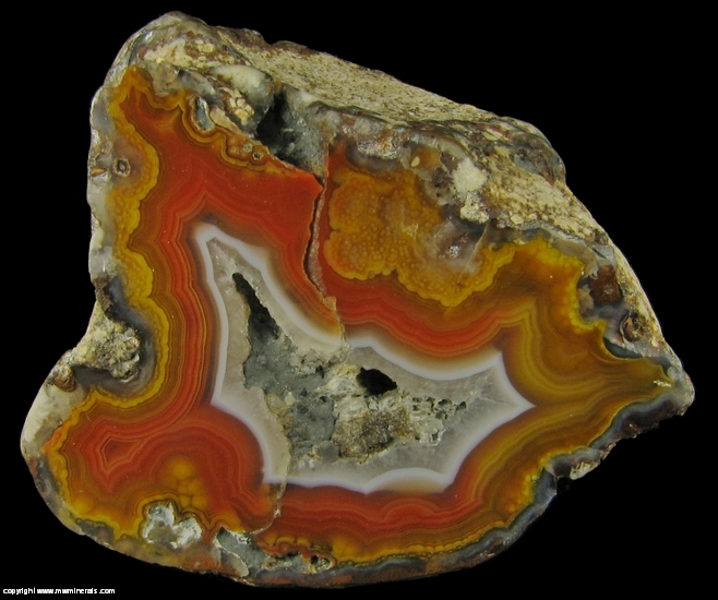 Mineral Specimen: Banded Agate from Chihuahua, Mexico