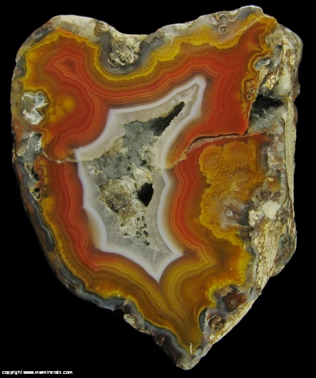 Mineral Specimen: Banded Agate from Chihuahua, Mexico
