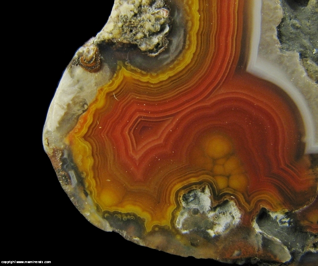 Mineral Specimen: Banded Agate from Chihuahua, Mexico