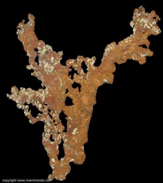 Mineral Specimen: Copper from Ajo District, Pima County, Arizona, USA