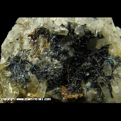 Mineral Specimen: Boulangerite on Quartz from Ramsbeck, Meschede, Sauerland, North Rhine-Westphalia, Germany Mineral Specimen: Boulangerite on Quartz from Ramsbeck, Meschede, Sauerland, North Rhine-Westphalia, Germany