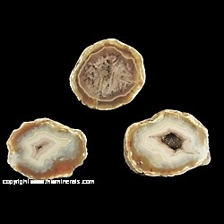 Mineral Specimen: Three Banded Agates from Chihuahua, Mexico Mineral Specimen: Three Banded Agates from Chihuahua, Mexico
