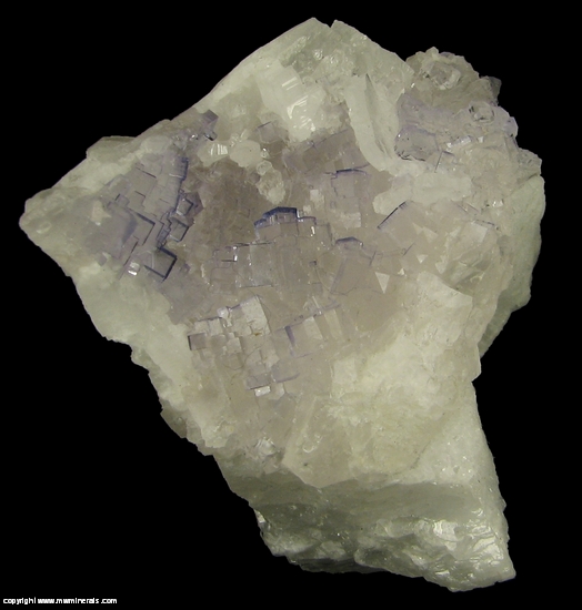 Mineral Specimen: Fluorite on Celestine from Tule Mine, Melchor Muzquiz, Coahuila, Mexico