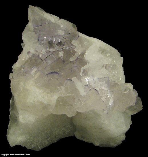 Mineral Specimen: Fluorite on Celestine from Tule Mine, Melchor Muzquiz, Coahuila, Mexico