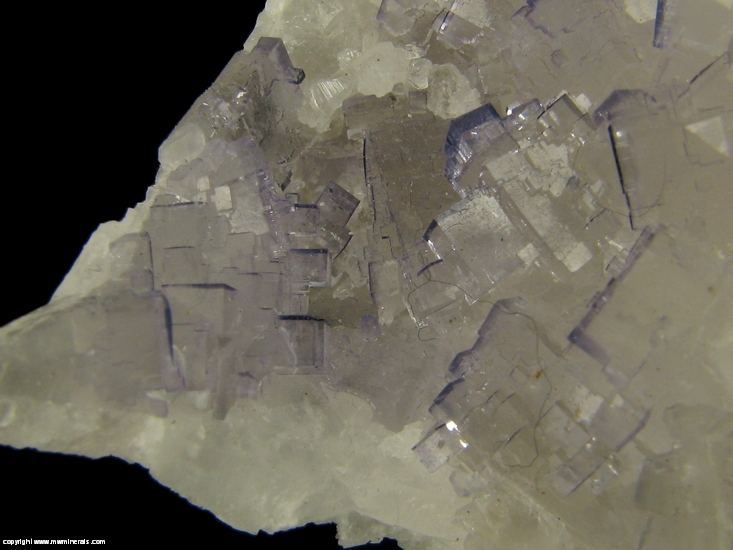 Mineral Specimen: Fluorite on Celestine from Tule Mine, Melchor Muzquiz, Coahuila, Mexico
