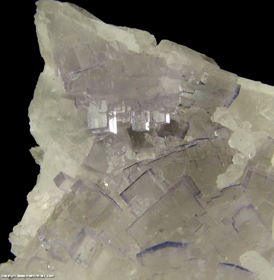 Mineral Specimen: Fluorite on Celestine from Tule Mine, Melchor Muzquiz, Coahuila, Mexico