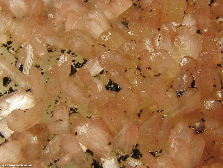 Mineral Specimen: Babingtonite on Stilbite from Nasik quarry, Nasik District, Maharashtra, India