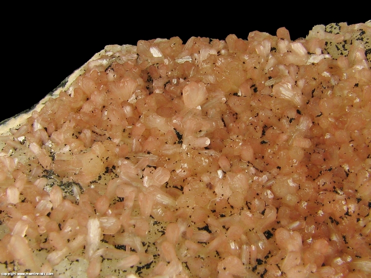 Mineral Specimen: Babingtonite on Stilbite from Nasik quarry, Nasik District, Maharashtra, India