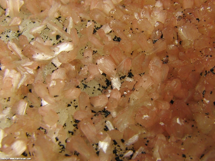 Mineral Specimen: Babingtonite on Stilbite from Nasik quarry, Nasik District, Maharashtra, India