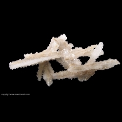 Minerals Specimen: Skeletal Calcite from Nikolaevskiy Mine, Dal'negorsk, Primorskiy Kray, Far-Eastern Region, Russia Minerals Specimen: Skeletal Calcite from Nikolaevskiy Mine, Dal'negorsk, Primorskiy Kray, Far-Eastern Region, Russia