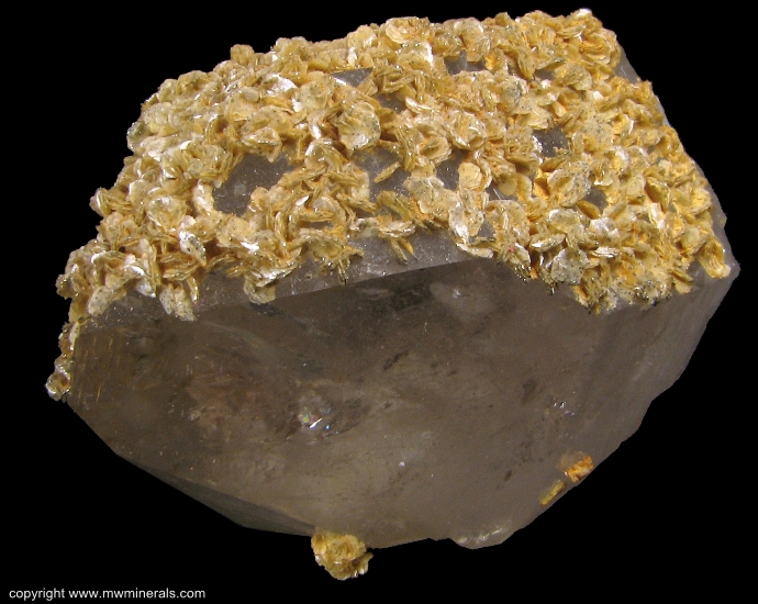 Mineral Specimen: Siderite on Quartz from Panasquiera Mines, Panasquiera, Portugal