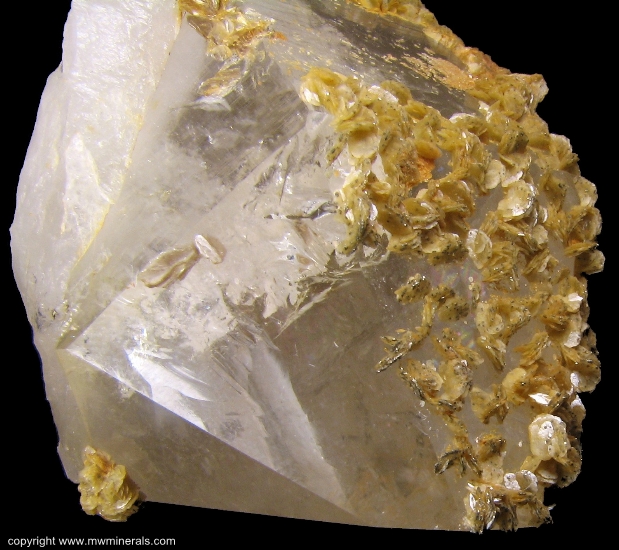 Mineral Specimen: Siderite on Quartz from Panasquiera Mines, Panasquiera, Portugal