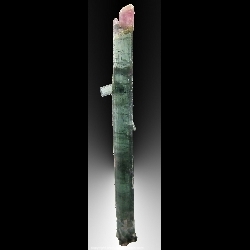Minerals Specimen: Bi-Color Double-Terminated Tourmaline - Elbaite from Pederneira claim, Sao Jose da Safira, Doce Valley, Minas Gerais, Barzil