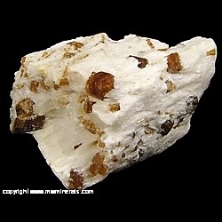 Mineral Specimen: Dravite Tourmaline in Talc from Jegdalek, Nuristan, Afghanistan