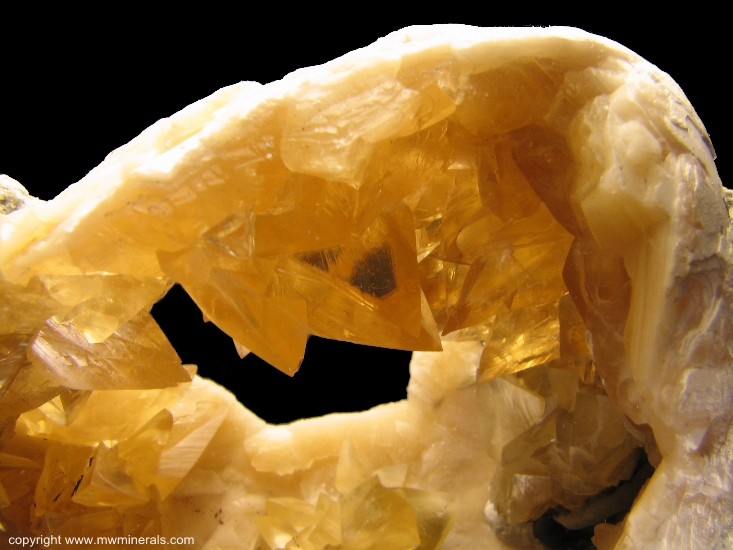 Mineral Specimen: Calcite Crystals in Fossil Clamshell (mercenaria permagna) from Rucks Pit, Fort Drum, Okeechobee County, Florida, USA
