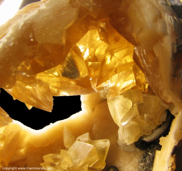 Mineral Specimen: Calcite Crystals in Fossil Clamshell (mercenaria permagna) from Rucks Pit, Fort Drum, Okeechobee County, Florida, USA