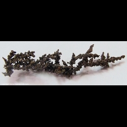 Minerals Specimen: Copper Crystals from Tsumeb, Namibia Minerals Specimen: Copper Crystals from Tsumeb, Namibia