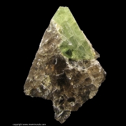 Minerals Specimen: Chrysoberyl Twinned variety: Cat's Eye from Rio das Pratinhas, Arataca, Bahia, Brazil Minerals Specimen: Chrysoberyl Twinned variety: Cat's Eye from Rio das Pratinhas, Arataca, Bahia, Brazil