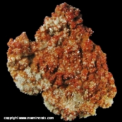Minerals Specimen: Vanadinite from Pure Potential Mine (North Geronimo Mine), Silver District, Trigo Mts, La Paz Co., Arizona, USA Minerals Specimen: Vanadinite from Pure Potential Mine (North Geronimo Mine), Silver District, Trigo Mts, La Paz Co., Arizona, USA